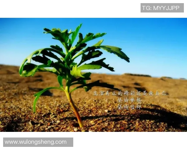 原帅：从青春梦想到职场拼搏的励志故事与人生启示